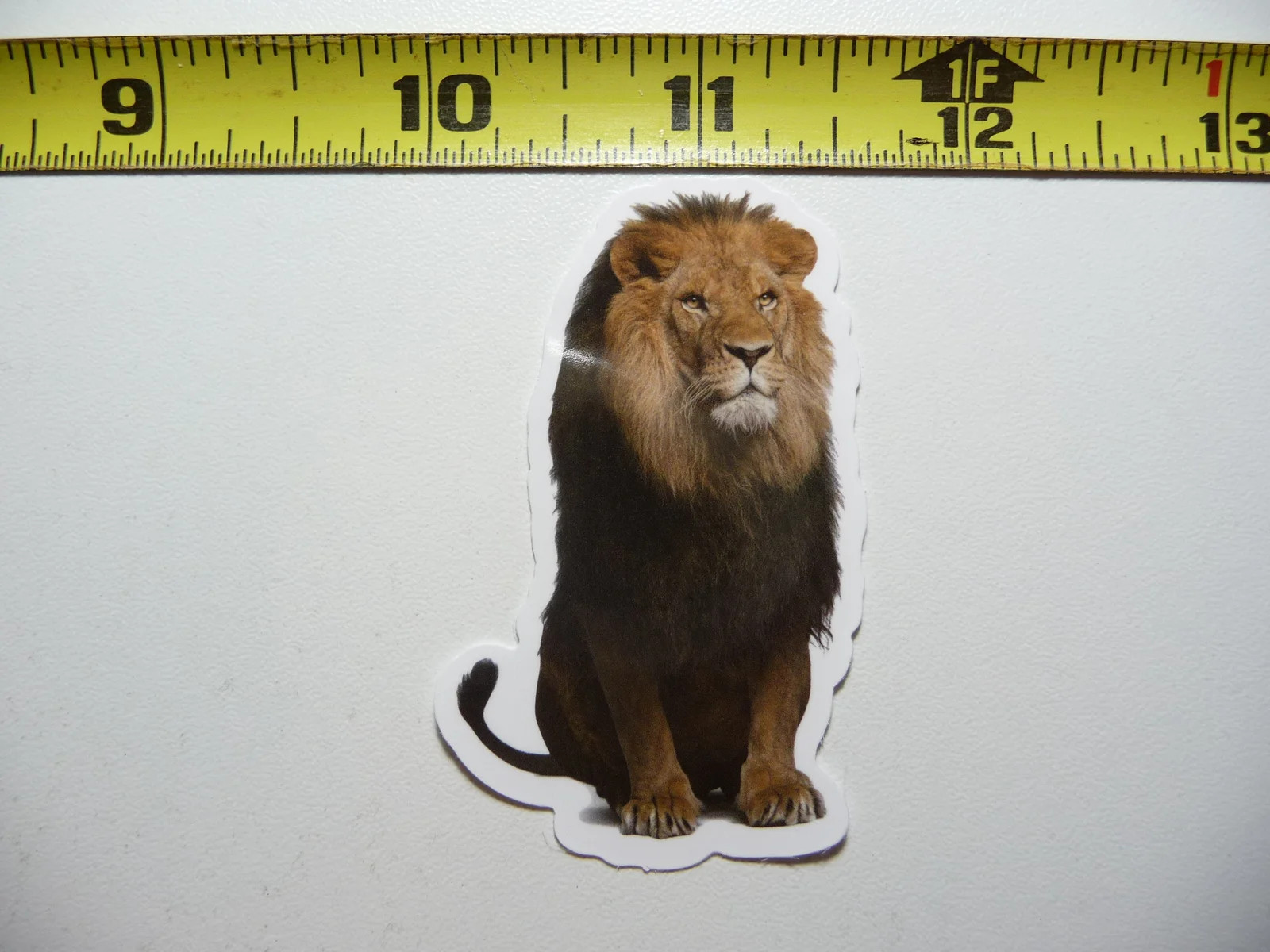 SITTING LION WAITING CAT SMALL STICKER DECAL WILDLIFE PRESERVE NATURE ANIMAL