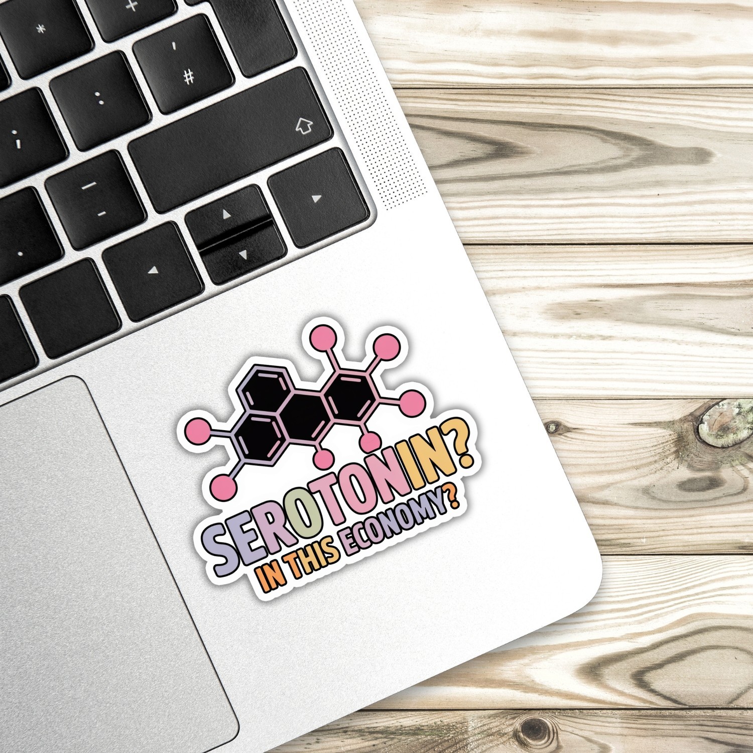 4pcs Serotonin in This Economy Stickers – Funny Mental Health Decals