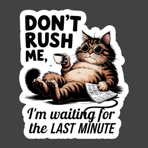 Cat Sticker Vinyl Decal Dont Rush Me Funny Lazy Cat Coffee Humor