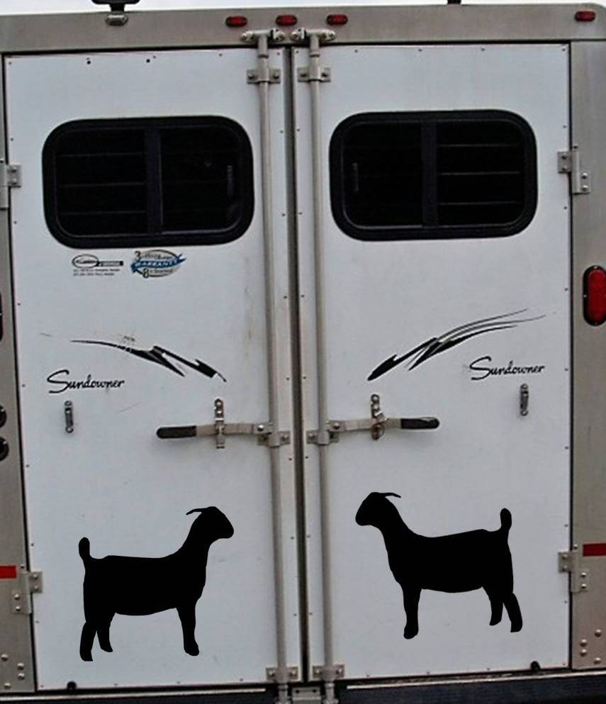 Goat Decals Stickers OS 175 (2 decal set) 12" tall goats kiko boer market
