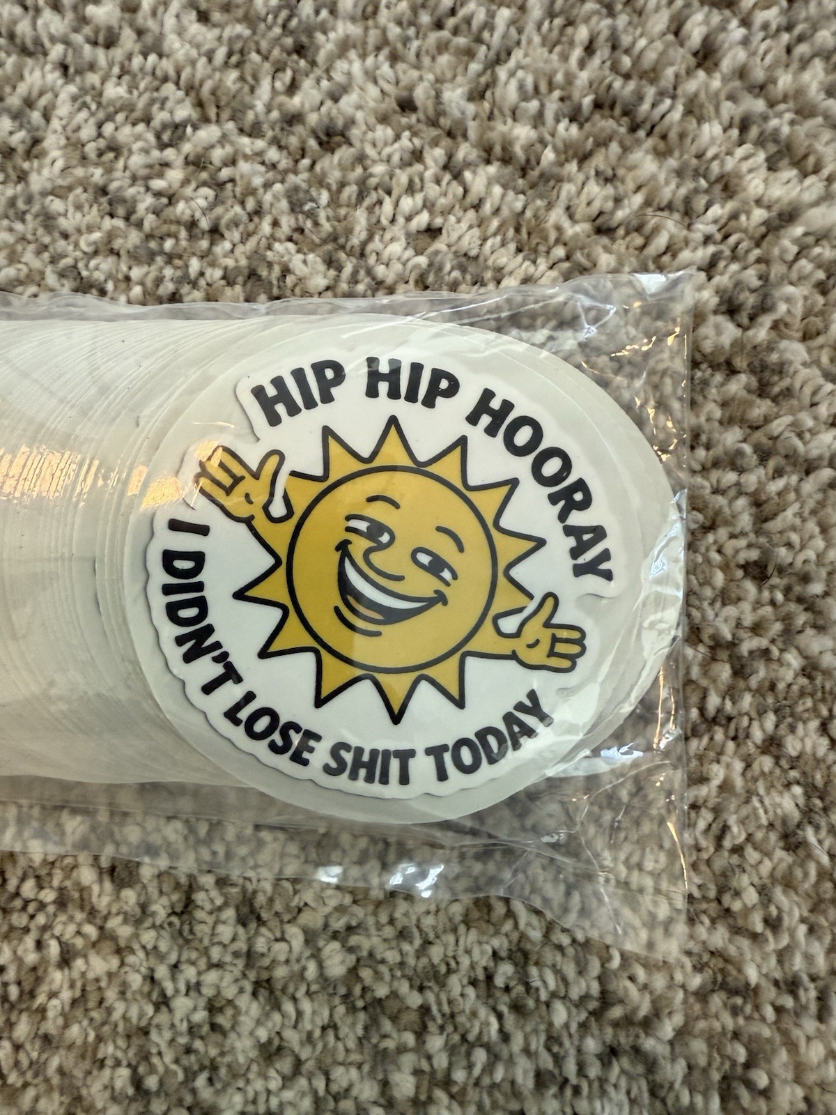 100 Count 3” Funny Stickers