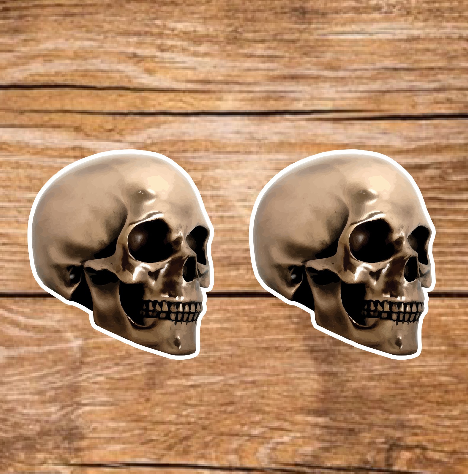 Bronze Skull (2 Stickers) 3.5in, Waterproof, Glossy Finish Vinyl.