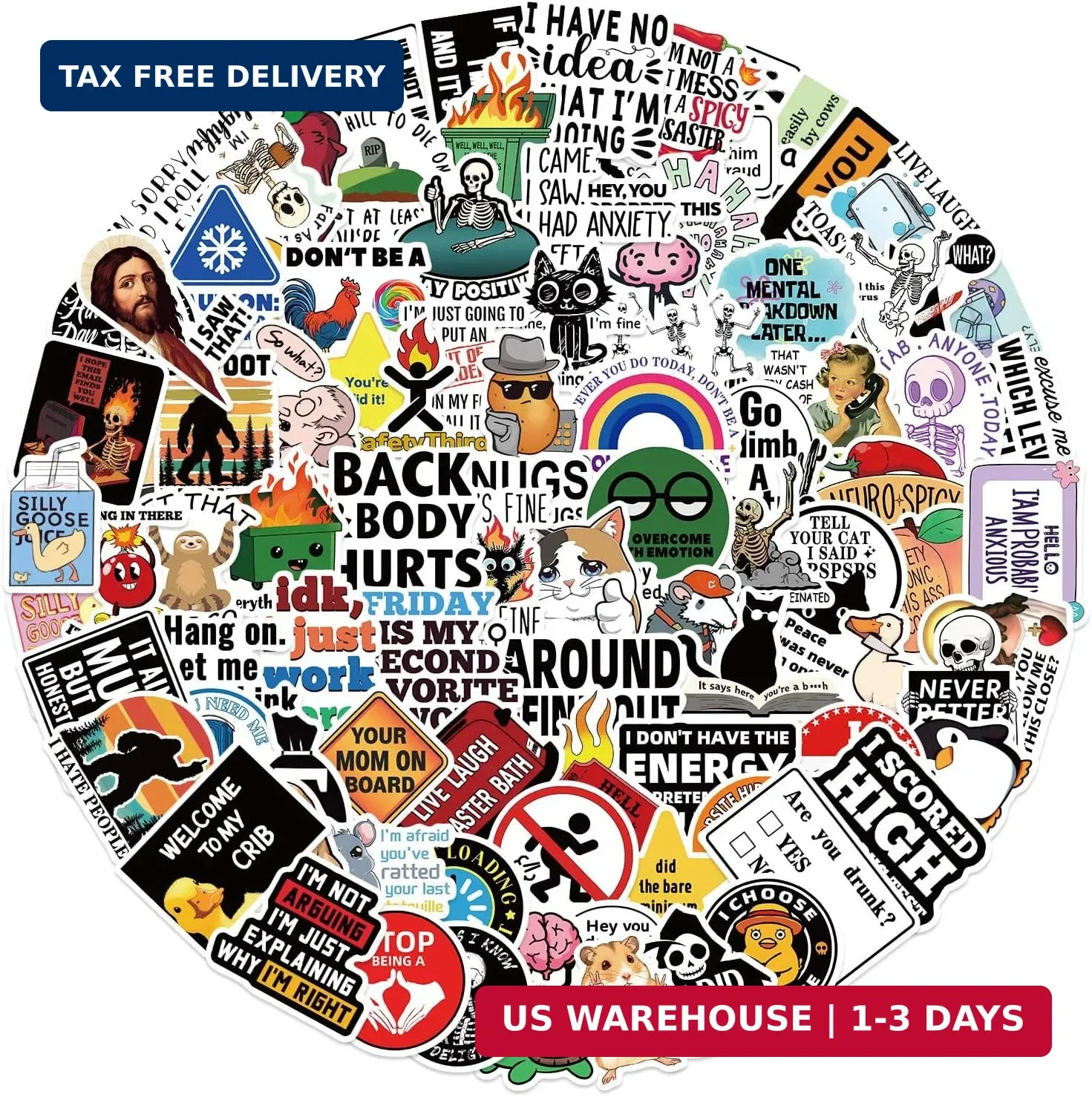 100 PCS Funny Stickers for Adults Snarky Meme Prank Meme Dirty Hilarious Sticker