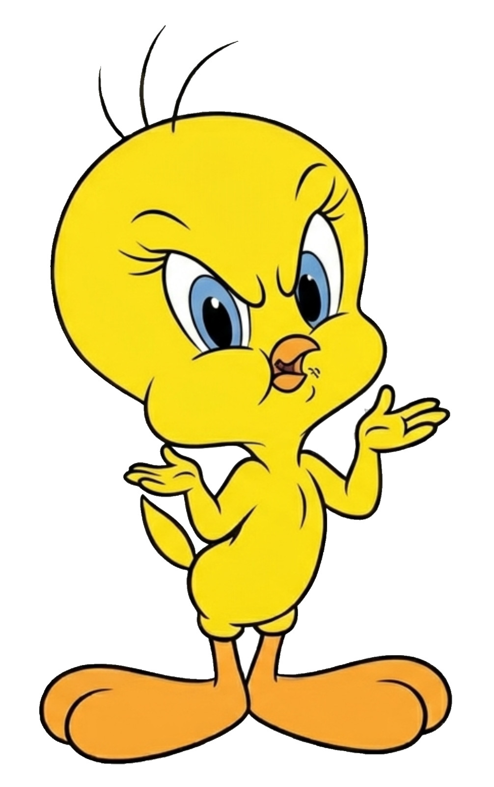 Angry Tweety Bird Sticker Funny Cartoon Attitude Decal Vinyl Laptop Water Bottle