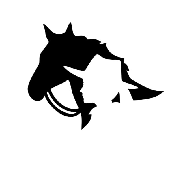 Horse Cowgirl Vinyl Decal Sticker Car Truck Window Laptop Water Bottle Sticker