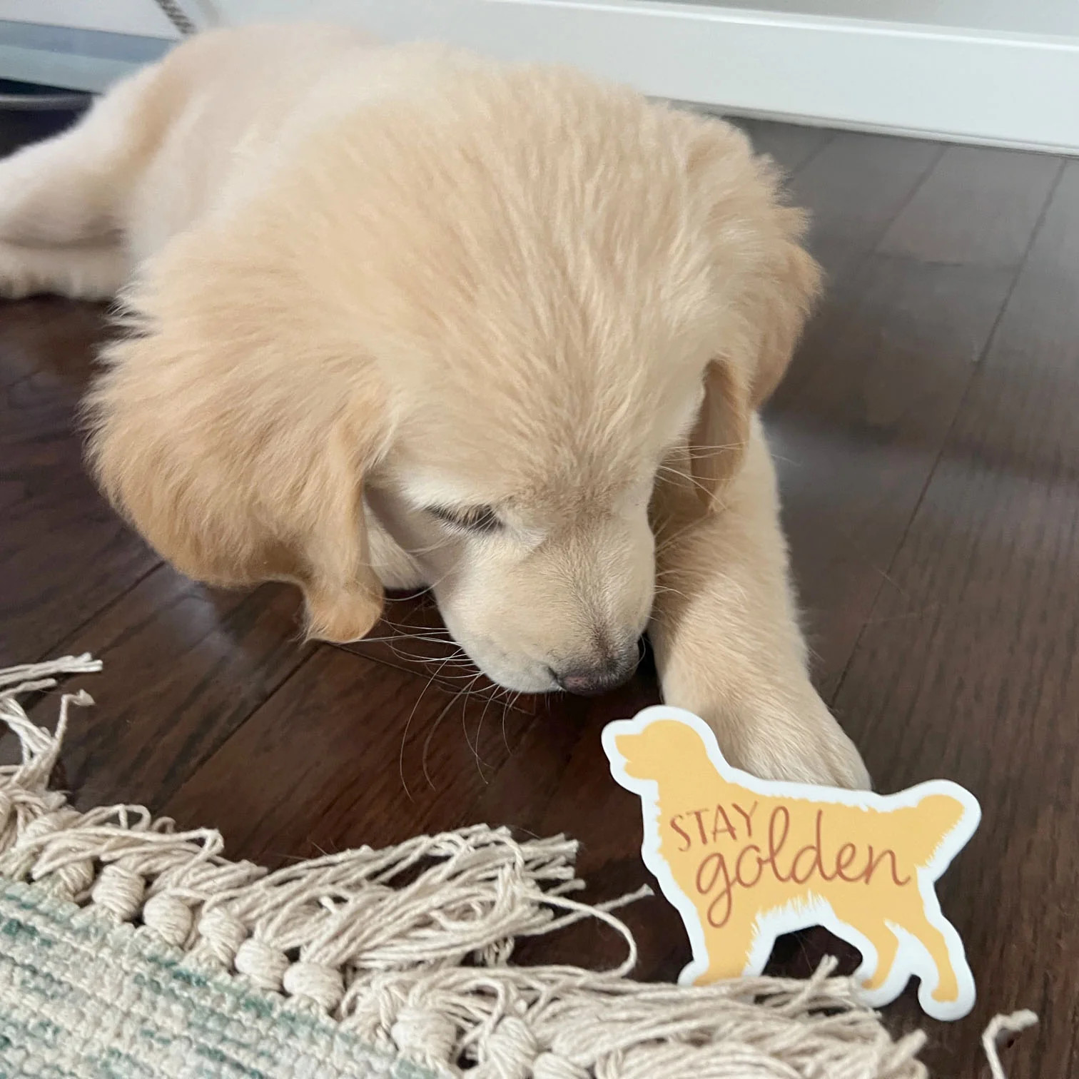 Stay Golden – Cute Golden Retriever Dog Sticker
