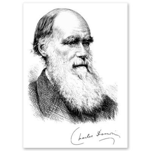 Charles Darwin Evolution Vinyl Sticker – SELECT SIZE