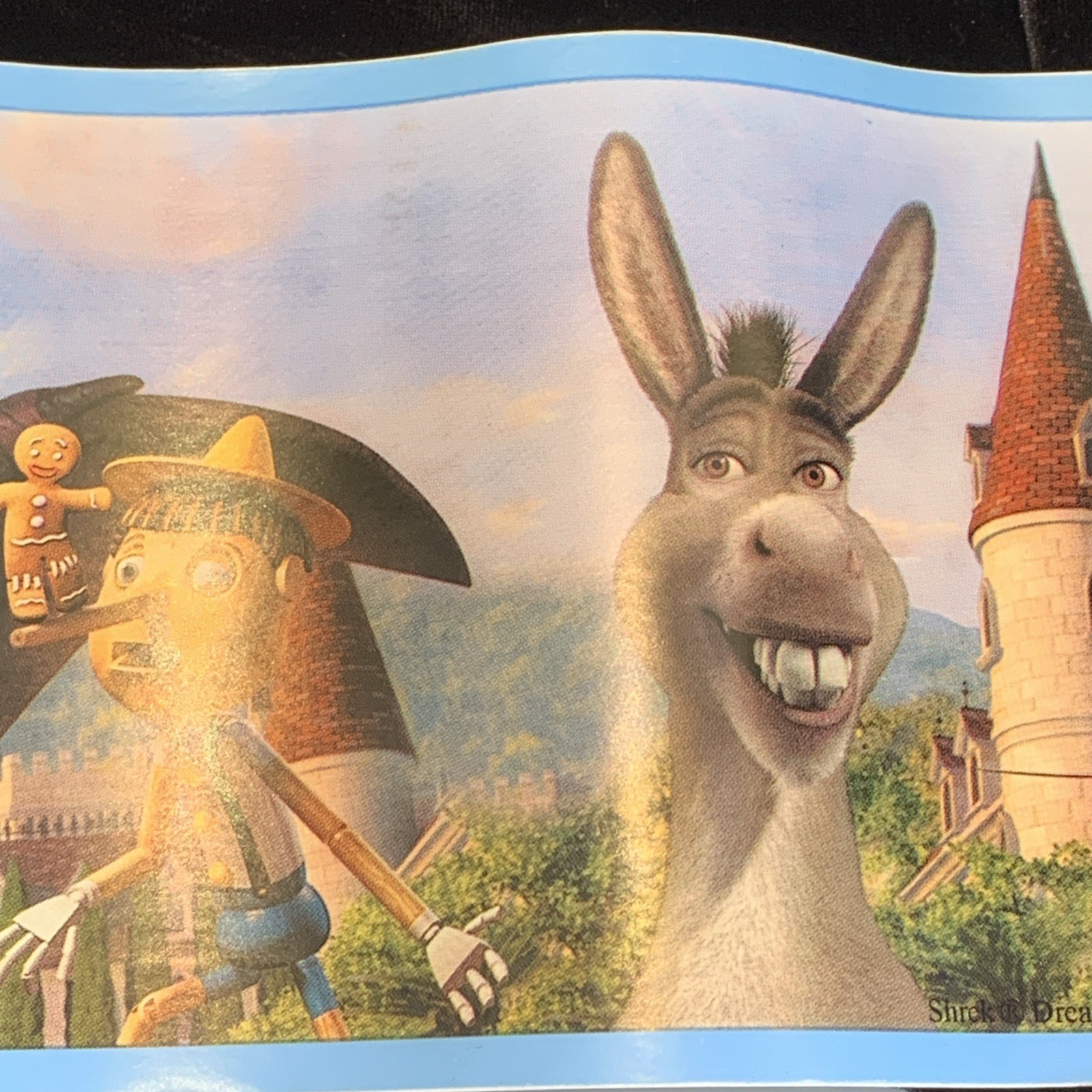 Shrek Peel and Stick Border Stickers for Kids Rooms New In Box