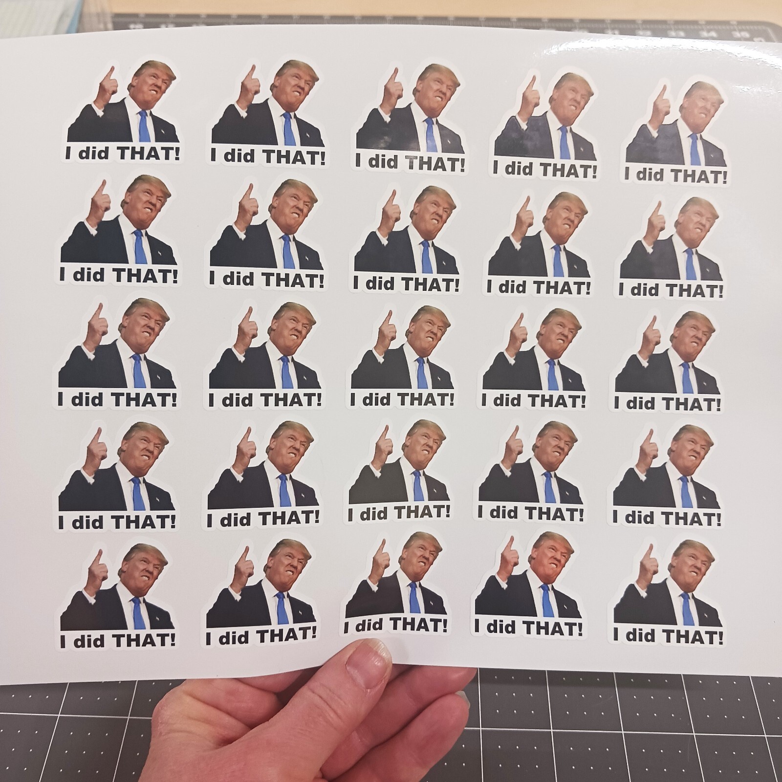 I did THAT – Trump Sticker Anti-Trump political meme stickers