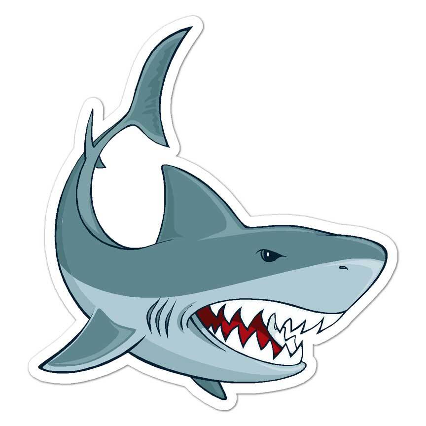 Bull Great White Shark, Vinyl Decal Sticker, Indoor Outdoor, 3 Sizes, #8093