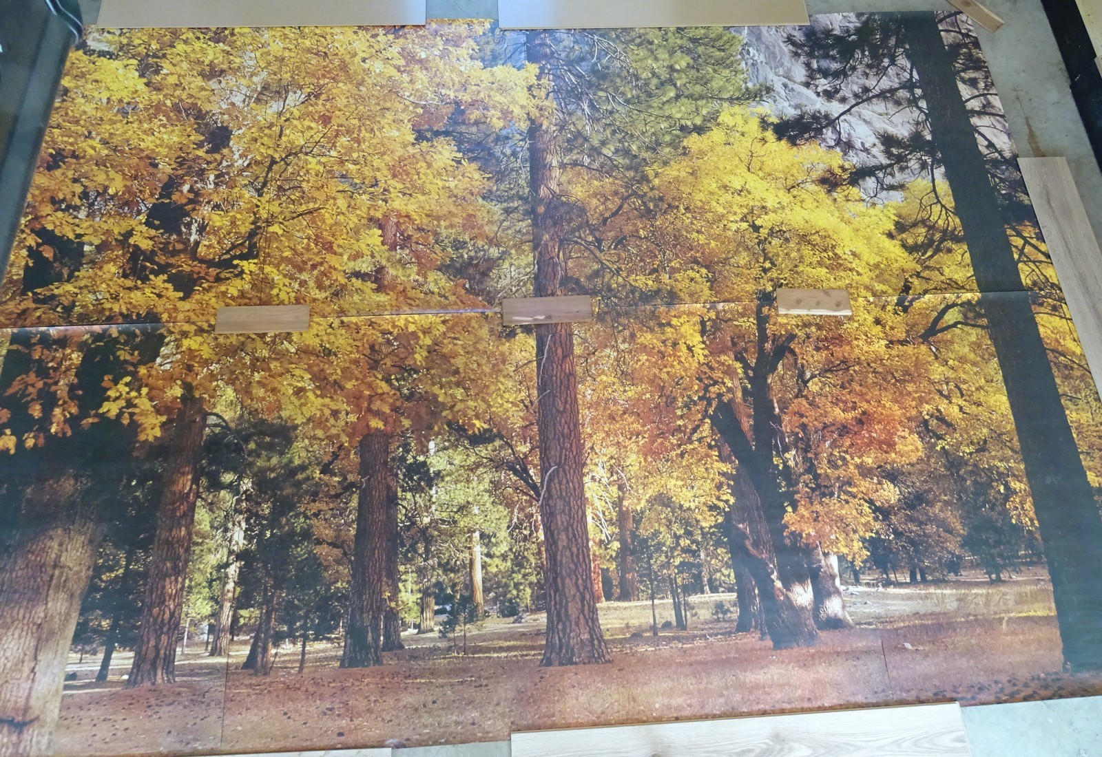 Full Wall Photo Mural Autumn Yosemite National Park Josef Muench 8’ 8” x 12’ 6”