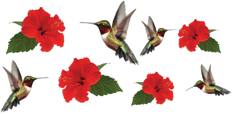 Hummingbird Wall Decal Mural, Hummingbirds Red Flowers Floral Animal Vinyl, a01