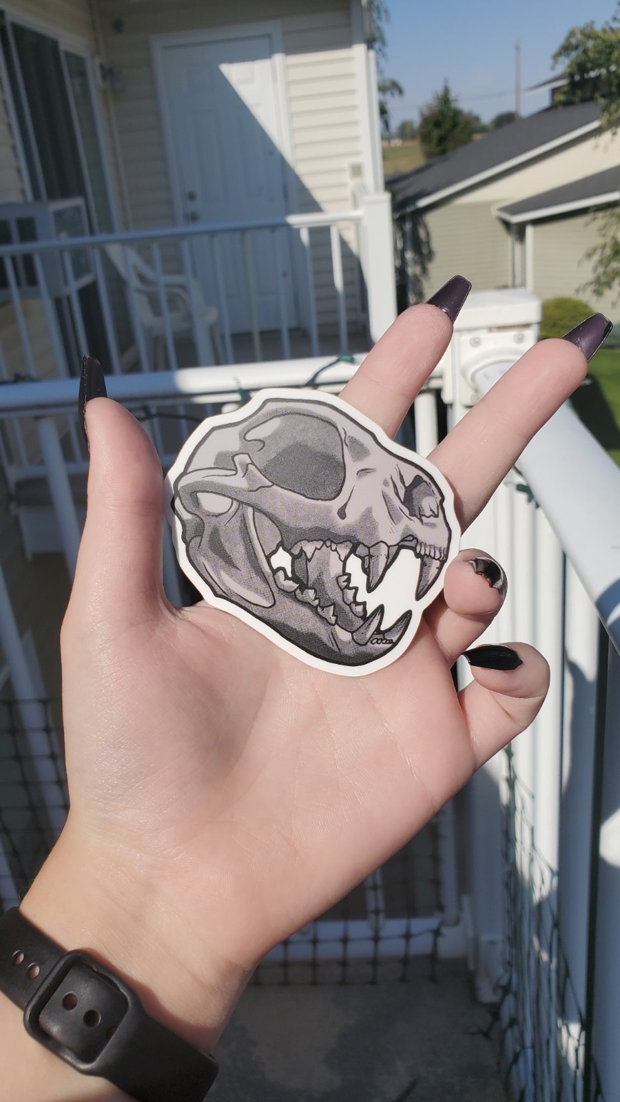 Cat Skull Sticker 6cm x 7cm, Original Art, Matte Finish, Transparent Background