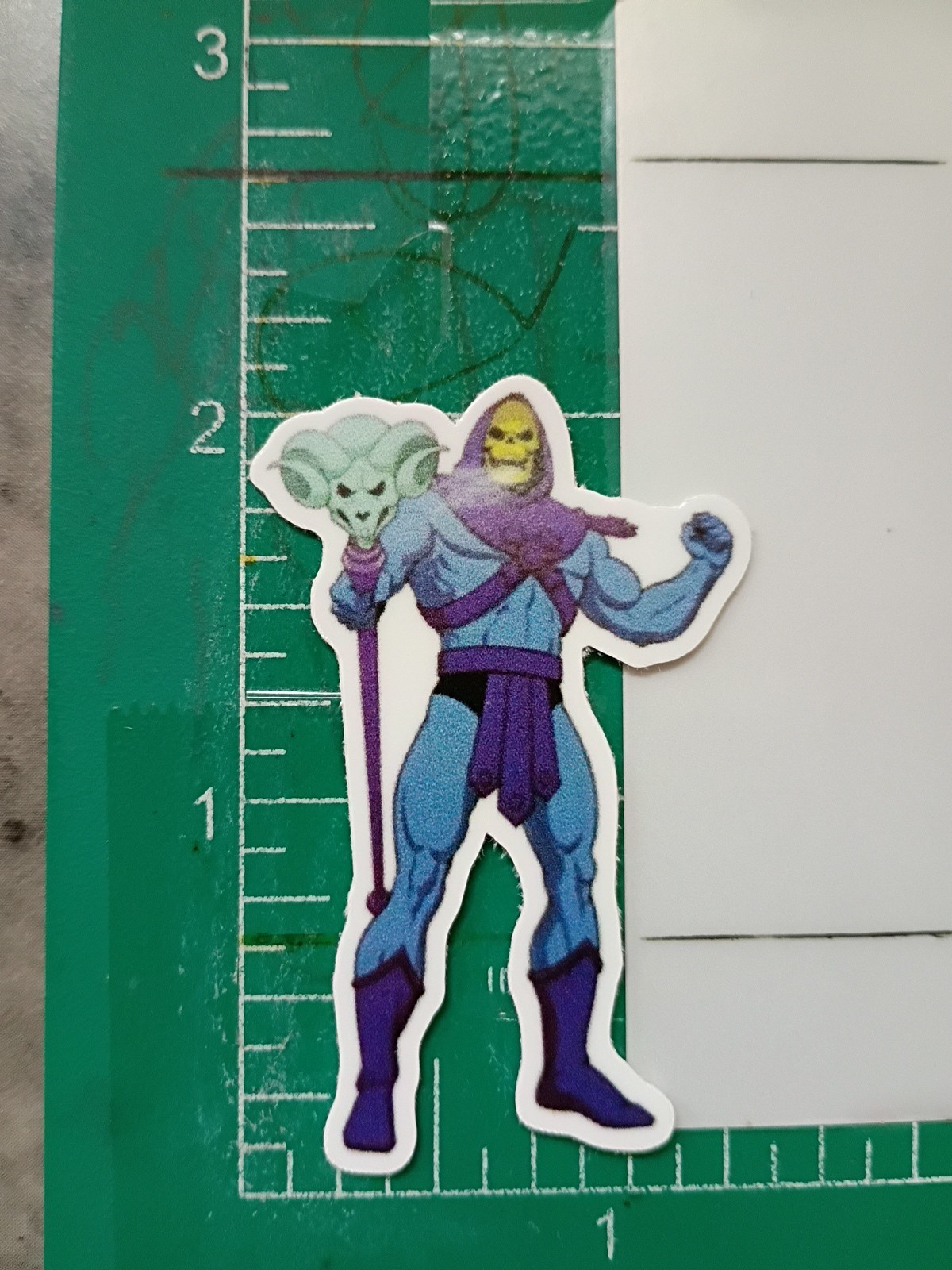 HEMAN STICKER X SKELETOR X 2×1 INCHES, VYNIL HIGH GLOSS STICKER X SMALL SIZE…
