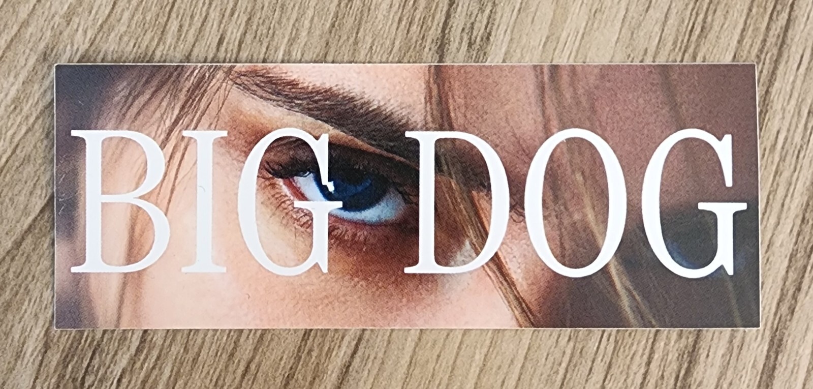 BIG DOG Small 4"x1.5" Logo Sticker Promo NEW Unused