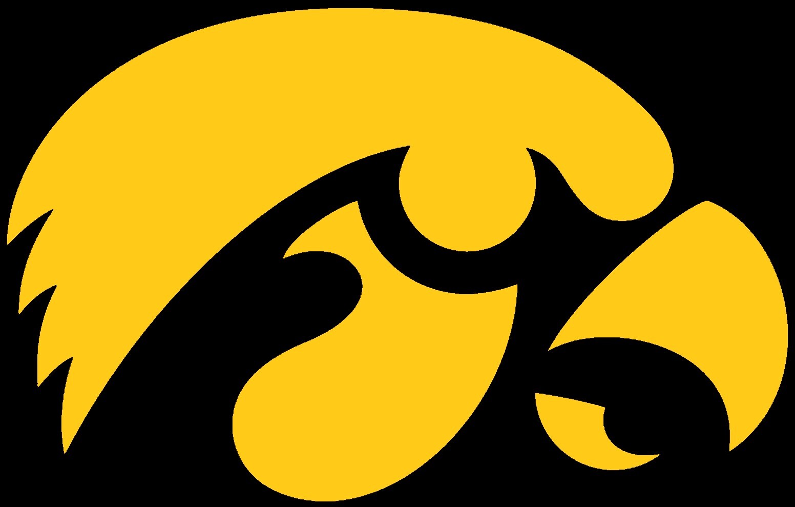 Iowa Hawkeyes Vinyl Decal Sticker Choose Size & Color