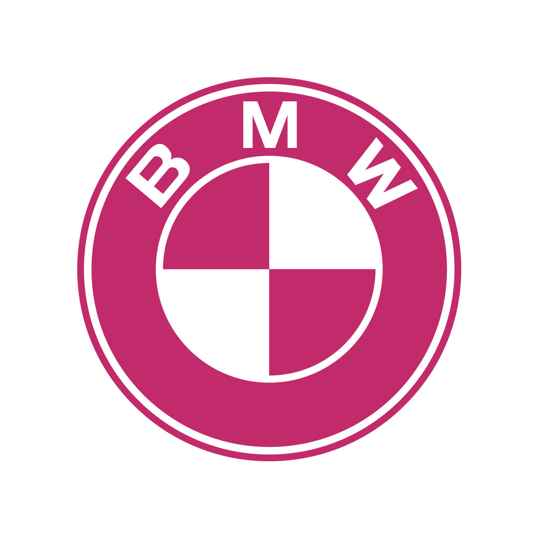 BMW Logo Multicolor die cut decal Made in USA 6+yr outdoor