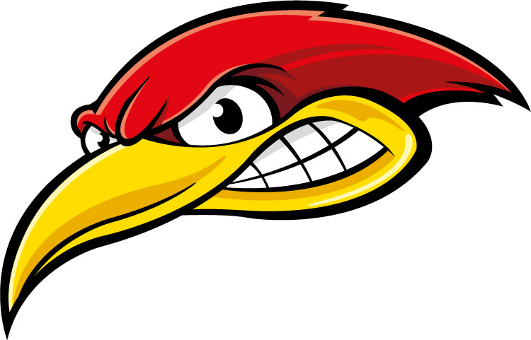 Angry Woodpecker Car Bumper Sticker Decal