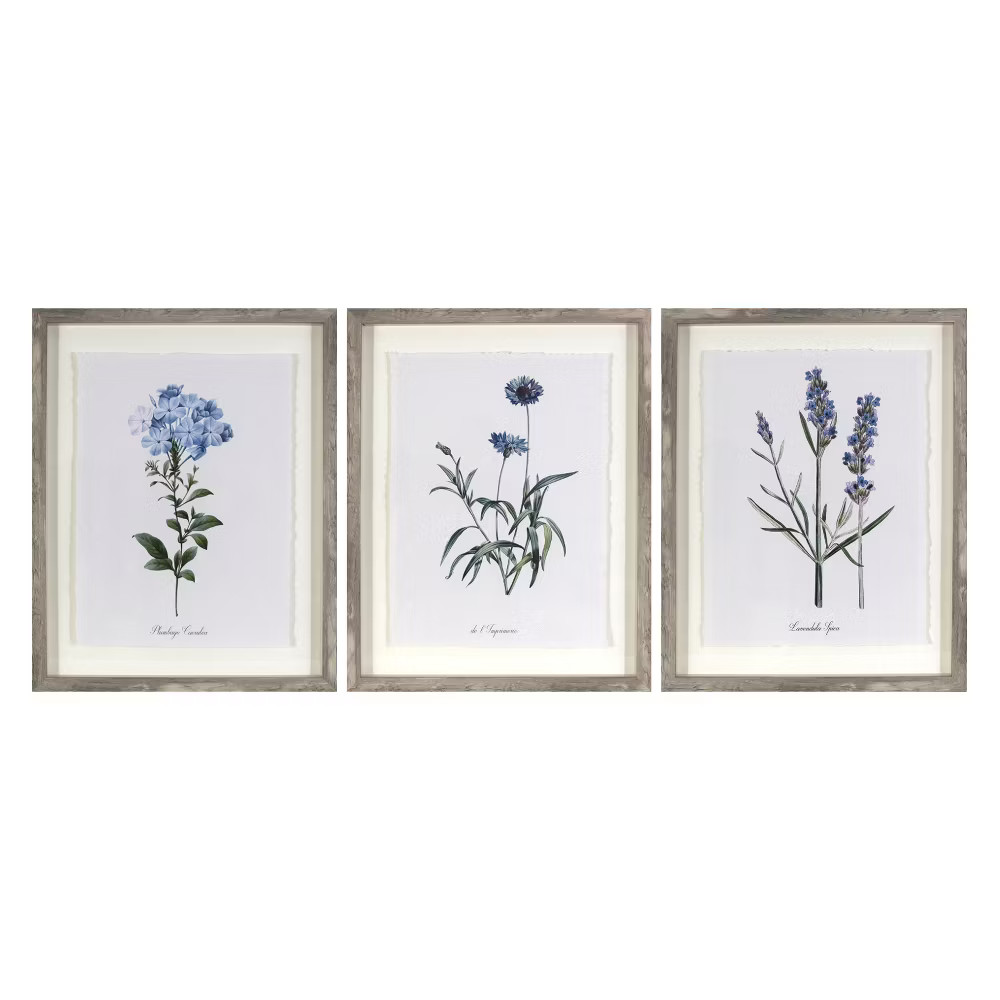(Set of 3) 16"x20" Framed Vintage Botanicals Decorative Wall Art Natural/Blue –
