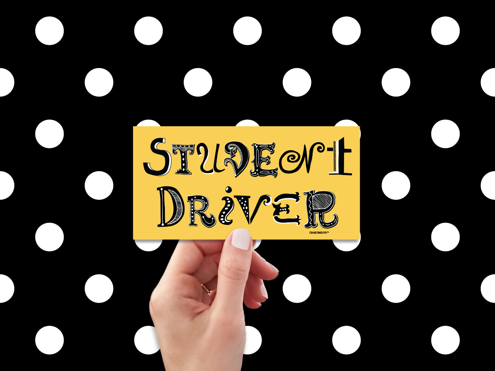 Student Driver Bumper Magnet, Caution New Driver, Driving School Learning Permit