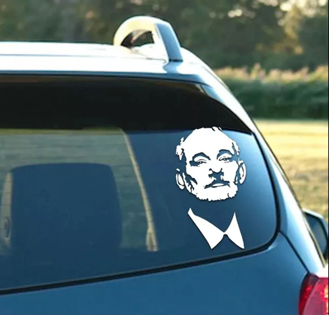 Bill Murray 8" or Two 6" White Vinyl Decals Car Truck Window Mirror Wall