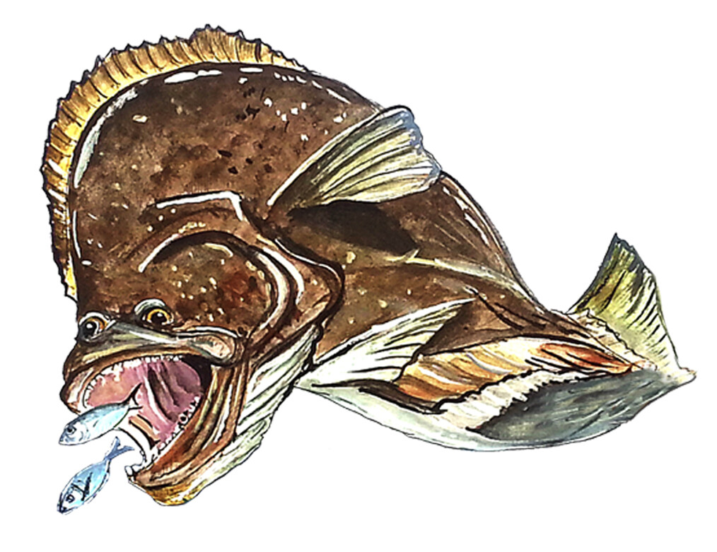 Flounder Flatfish Vinyl Decal Sticker Truck Boat Car Tumbler Cooler Cup Tablet