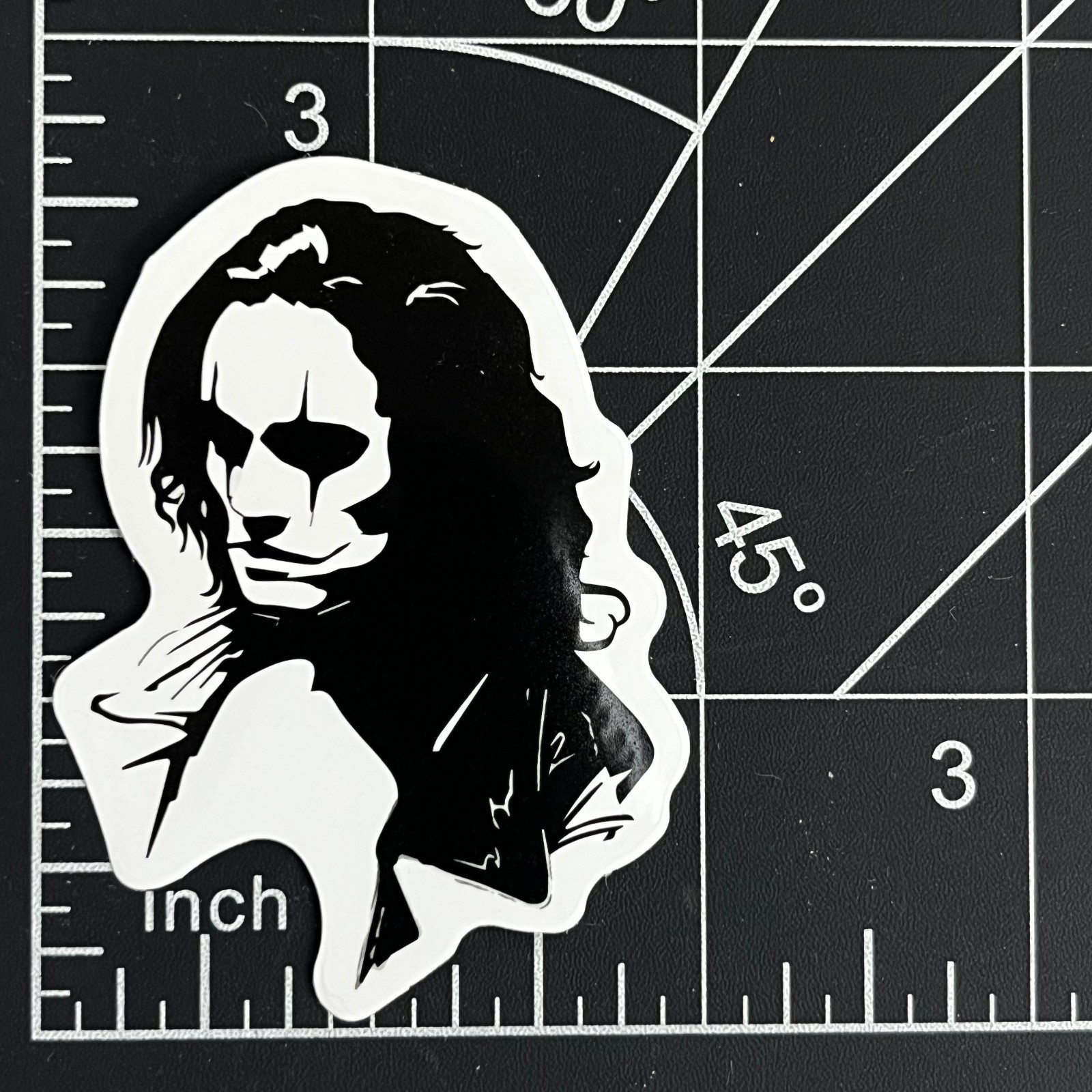 The Crow Eric Draven Brandon Lee Gothic Film Vinyl Sticker Comic Graphic