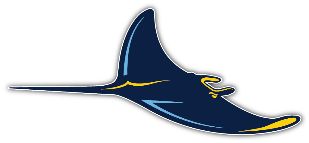 Tampa Bay Rays MLB Baseball Sport Logo Car Bumper Sticker Decal "SIZES"