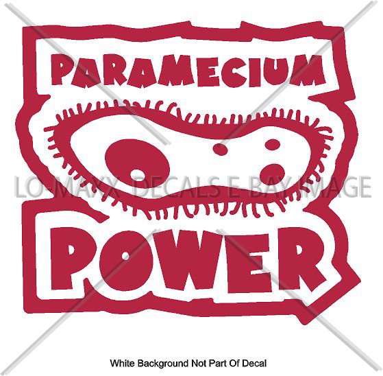 Paramecium Power One Celled Organism Art One Of A Kind Die-Cut Vinyl Decal