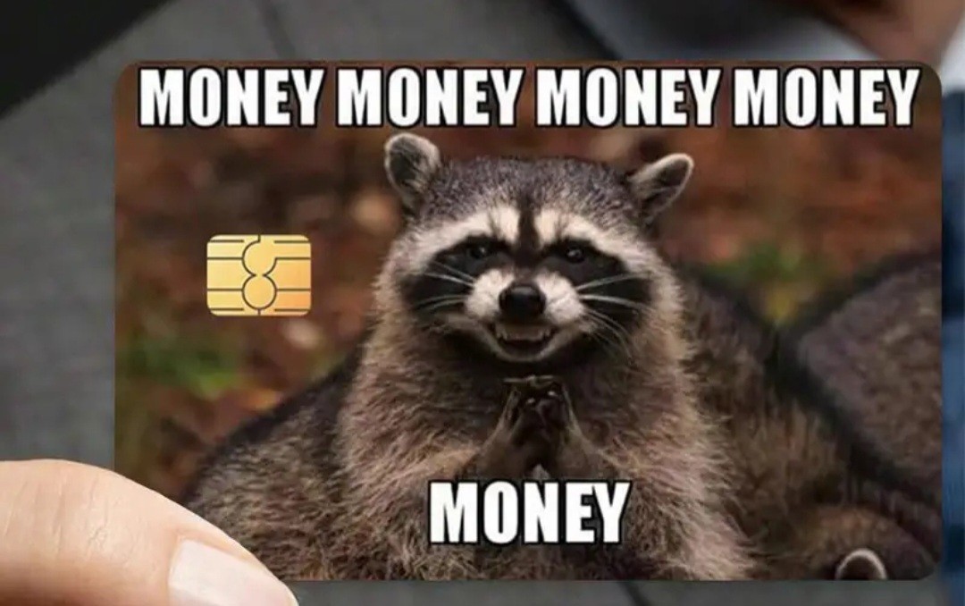 Money Money Money Humorous Raccoon Credit Debit Card Sticker Free Shipping