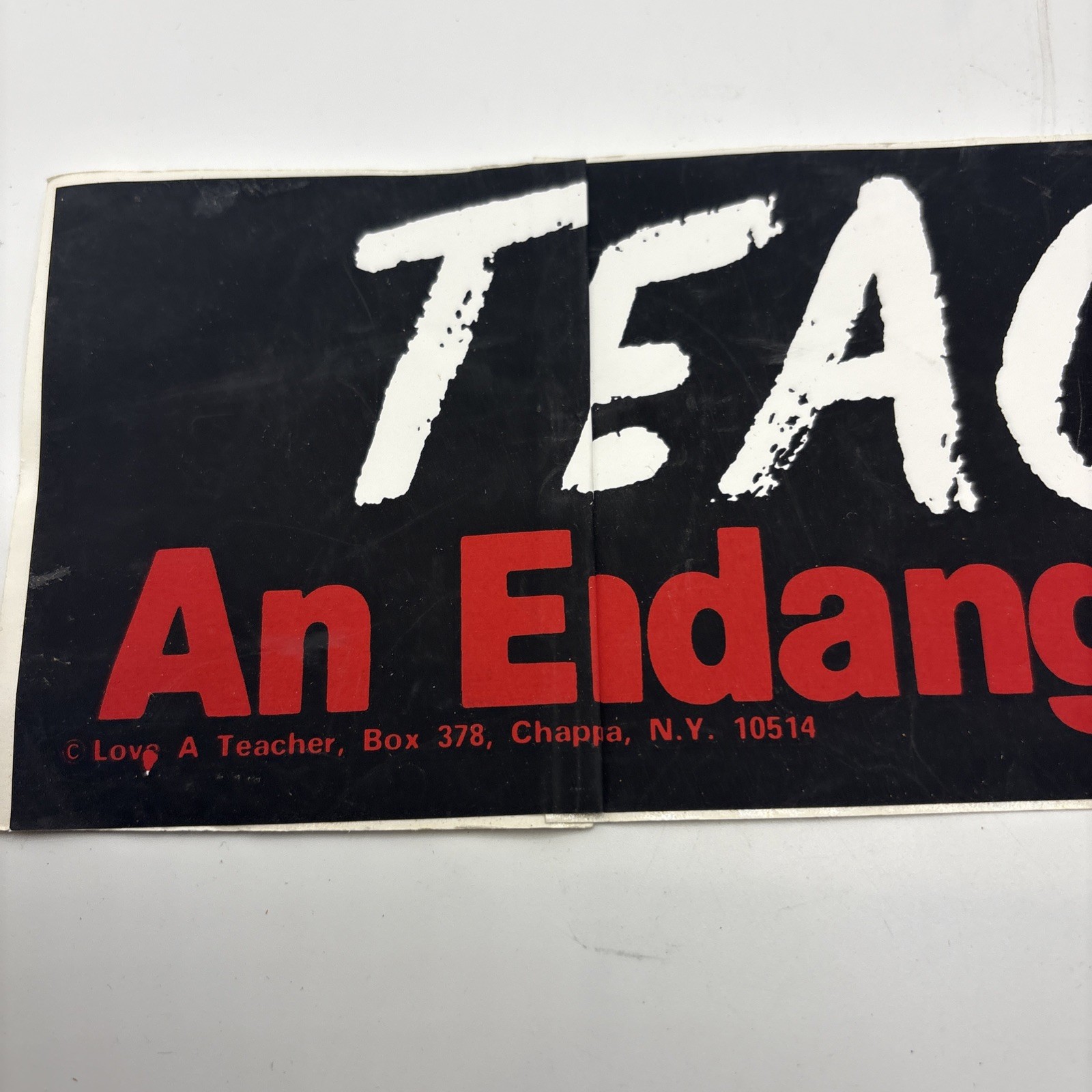 Vintage Teaching An Endangered Profession Love A Teacher Bumper Sticker Read