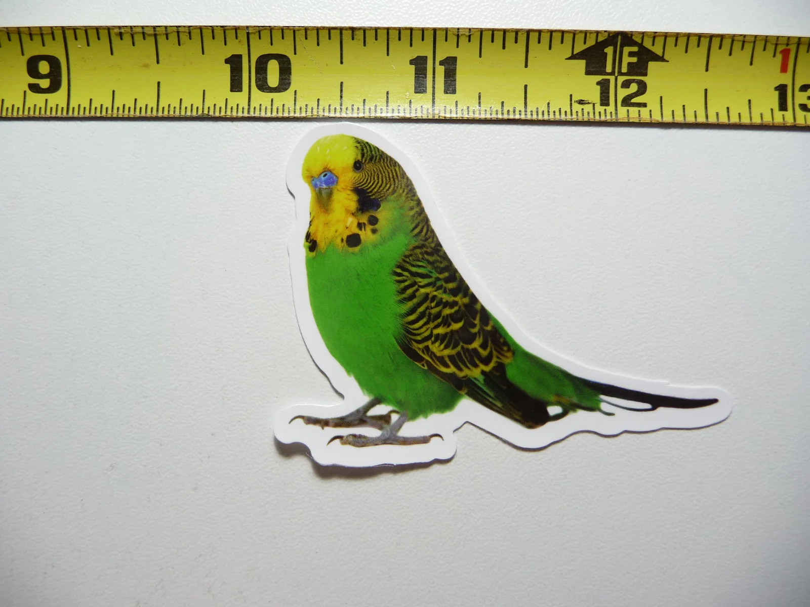 EXOTIC PET BUDGERIGAR BIRD SMALL STICKER DECAL WILDLIFE PRESERVE NATURE ANIMAL