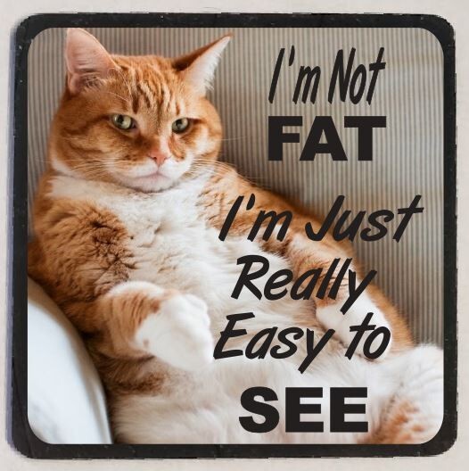 Fat Cat Refrigerator Magnet M15