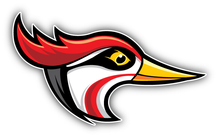 Woodpecker Head Mascot Car Bumper Sticker Decal