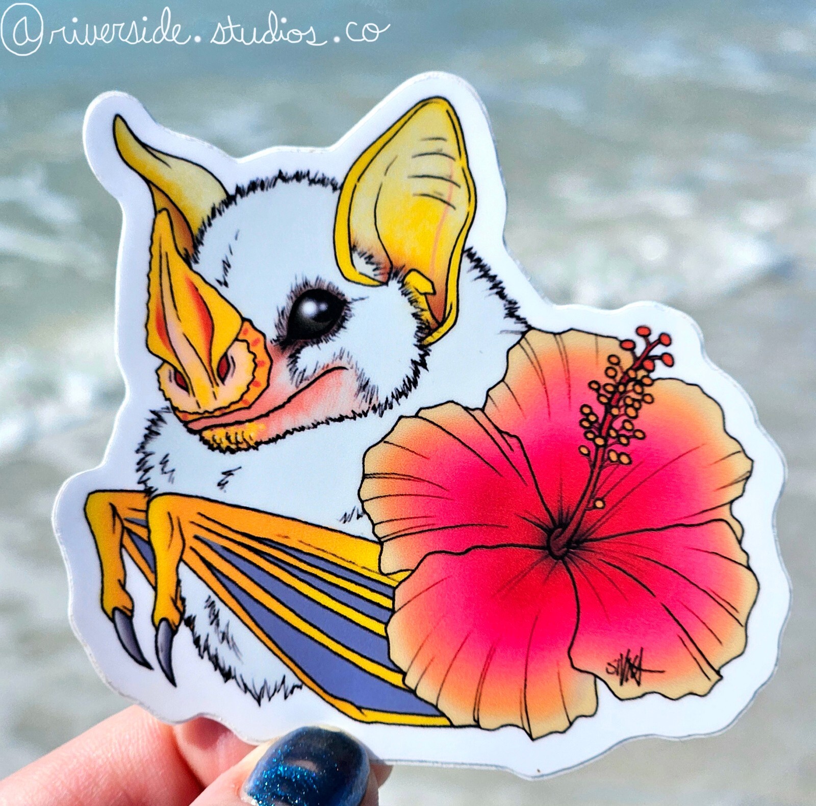 Honduran White Bat Vinyl Sticker 3" Original Art Animal Hibiscus Flower 