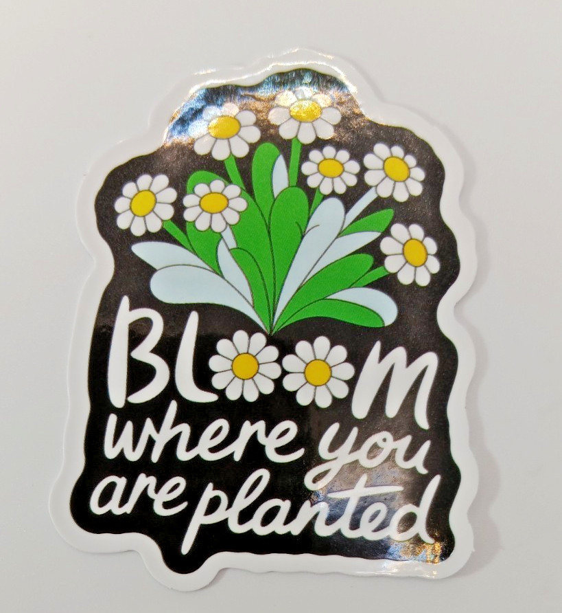 Plants-Garden-Bloom Where You're Planted-Vinyl Sticker-Decal-NWOT-Free Shipping!