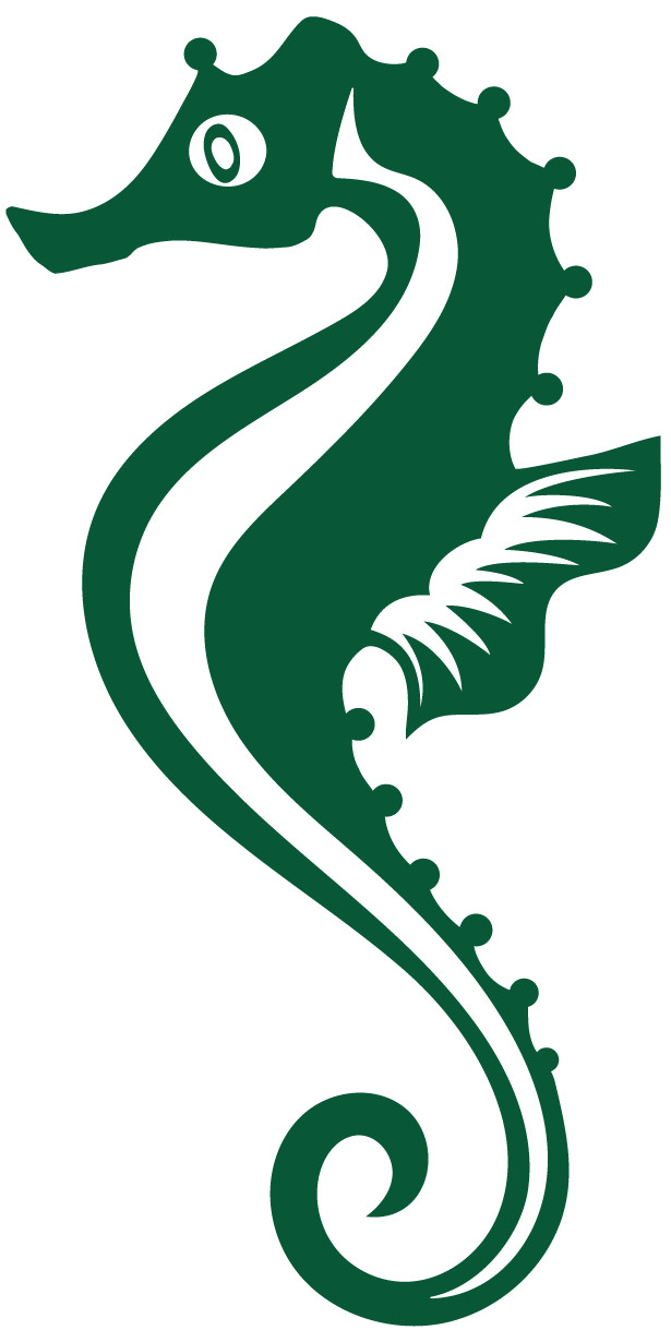 Sea Horse Decal Multicolor Made In USA