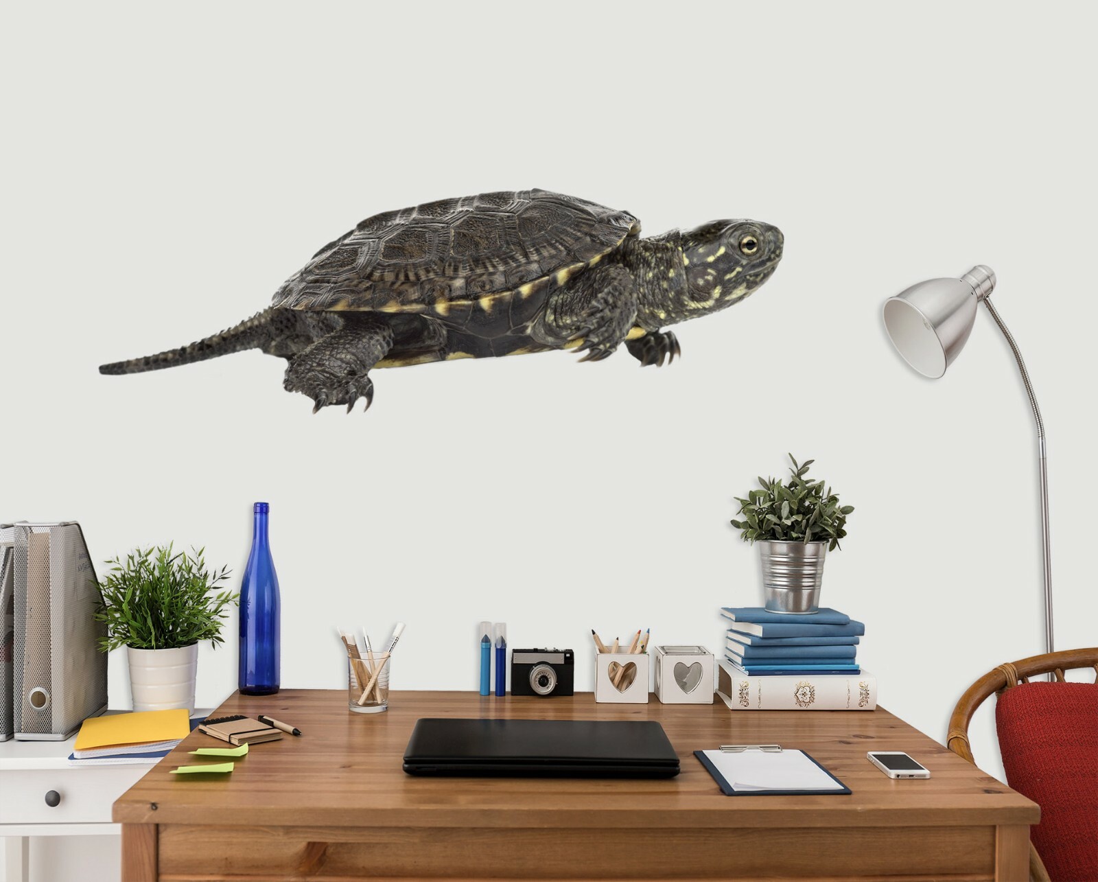 3D Black Turtle G693 Animal Wallpaper Mural Poster Wall Stickers Decal Honey