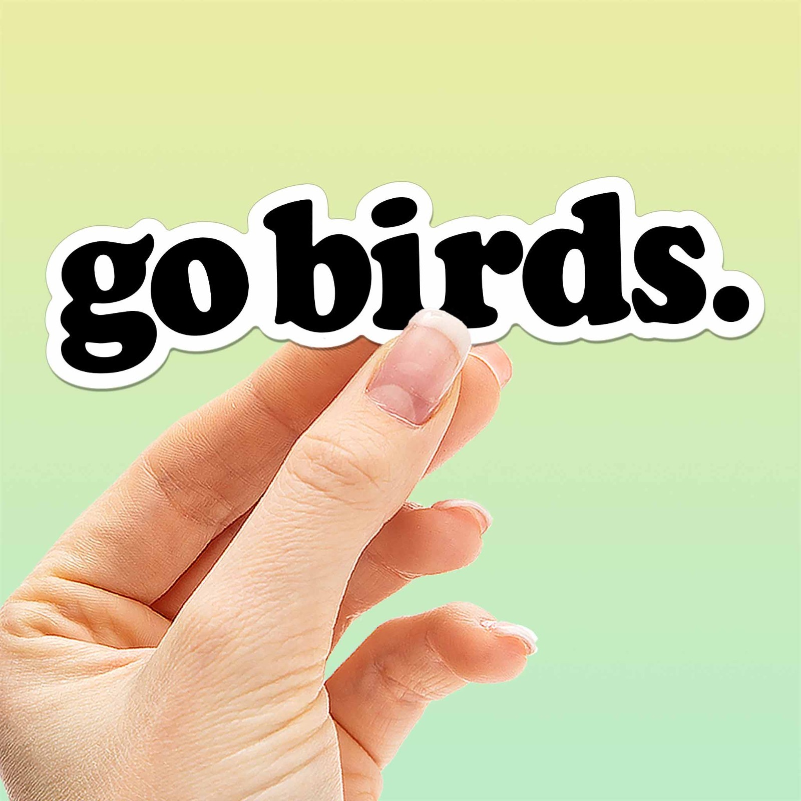 Go Birds Philly Sticker – Funny Philadelphia Pennsylvania Decal for Laptop