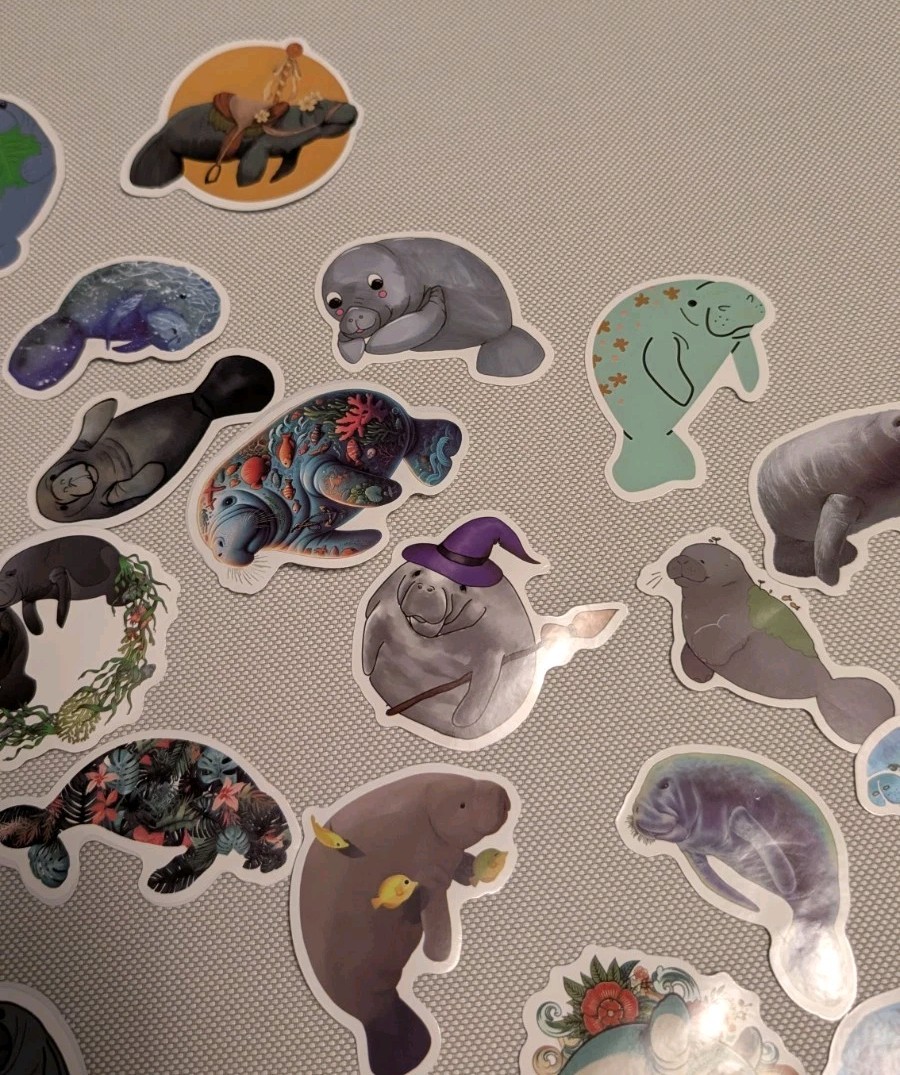 MYSTERY MIXED LOT OF 10 MANATEE GRAPHIC DECAL STICKER ART CAR WALL LAPTOP DECOR