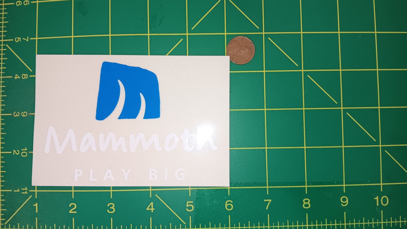 Mammoth Vinyl Sticker Decal PLAY BIG Logo Promotional Rectangle Glossy White