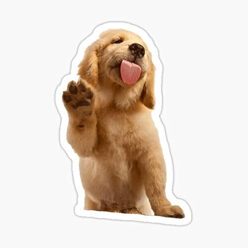 Dog Lover Golden Retriever Puppy Pet Boop Licking Pup Vinyl Decal Sticker