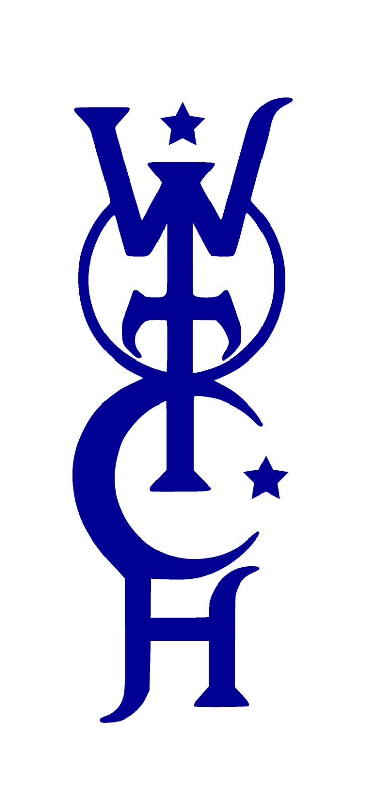 Witch Vinyl Decal, bumper sticker, wall decal