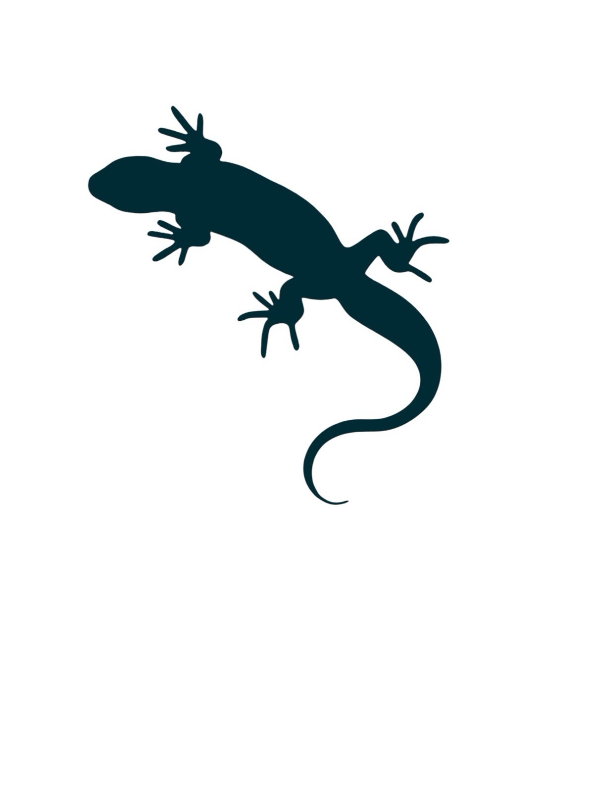 Gecko design#1 Decal for car Windows Laptops most Smooth Surfaces