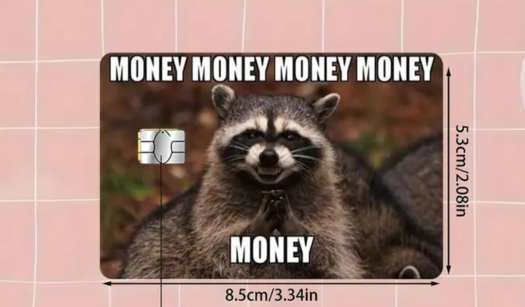 Money Money Money Humorous Raccoon Credit Debit Card Sticker Free Shipping
