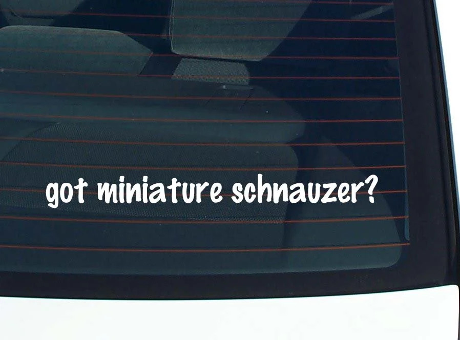 got miniature schnauzer? CAR DECAL BUMPER STICKER VINYL FUNNY JOKE WINDOW