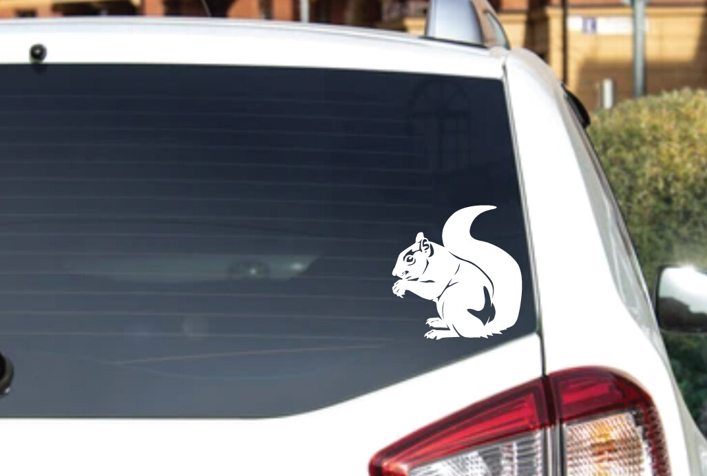 Animals – Wild Life – Tree Squirrel 2 Laptop, Car, Bumper, Door Decal Sticker