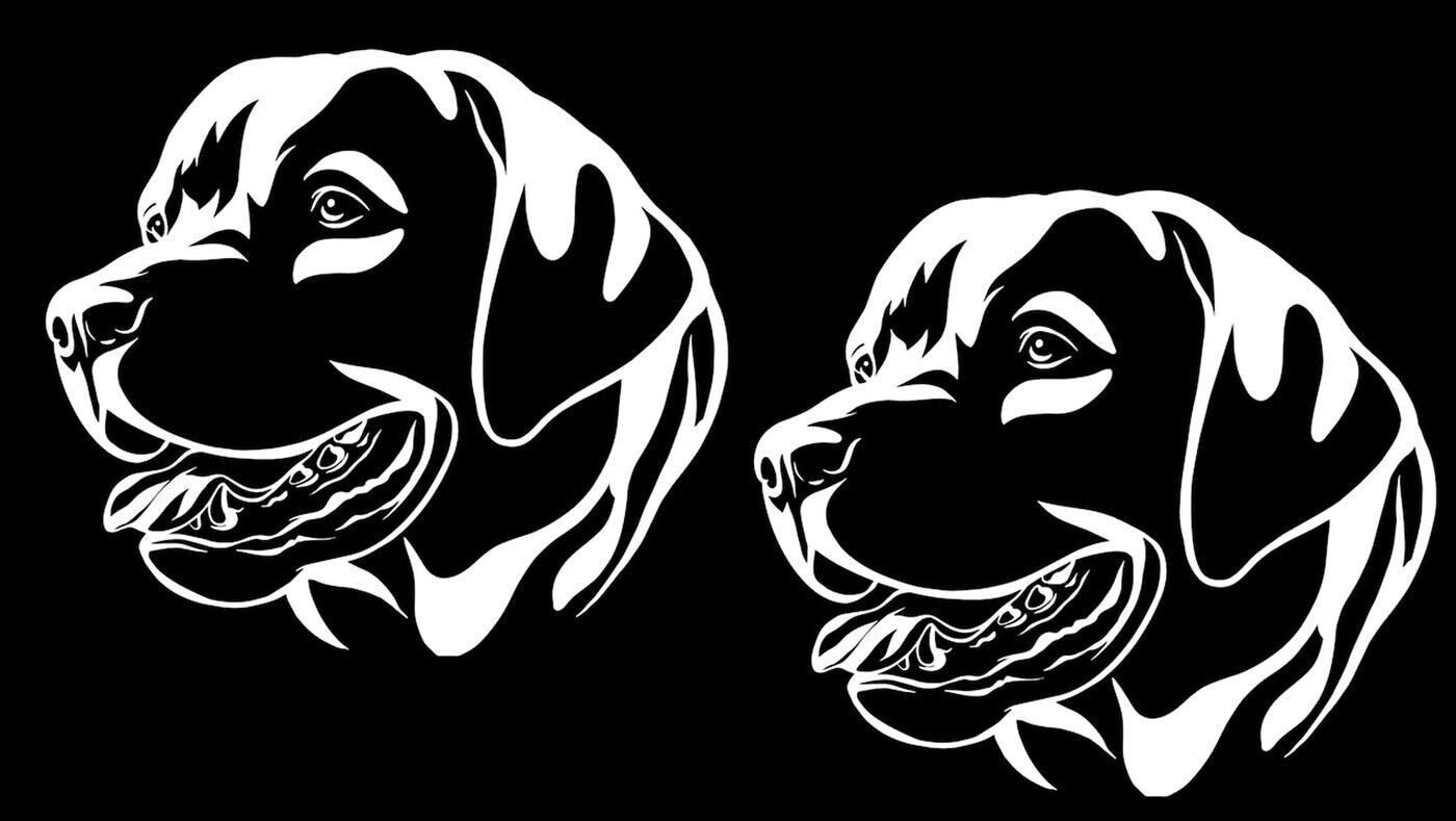 Labrador Retriever Lab Two 5" White Vinyl Decals Car Windows Laptop Tablet