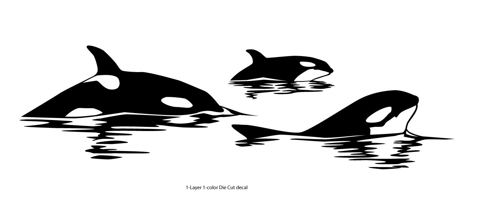 Sea Fauna – Orca Pack #7 – Outdoor Window Die Cut Decal Vinyl Sticker 6Yrs Film