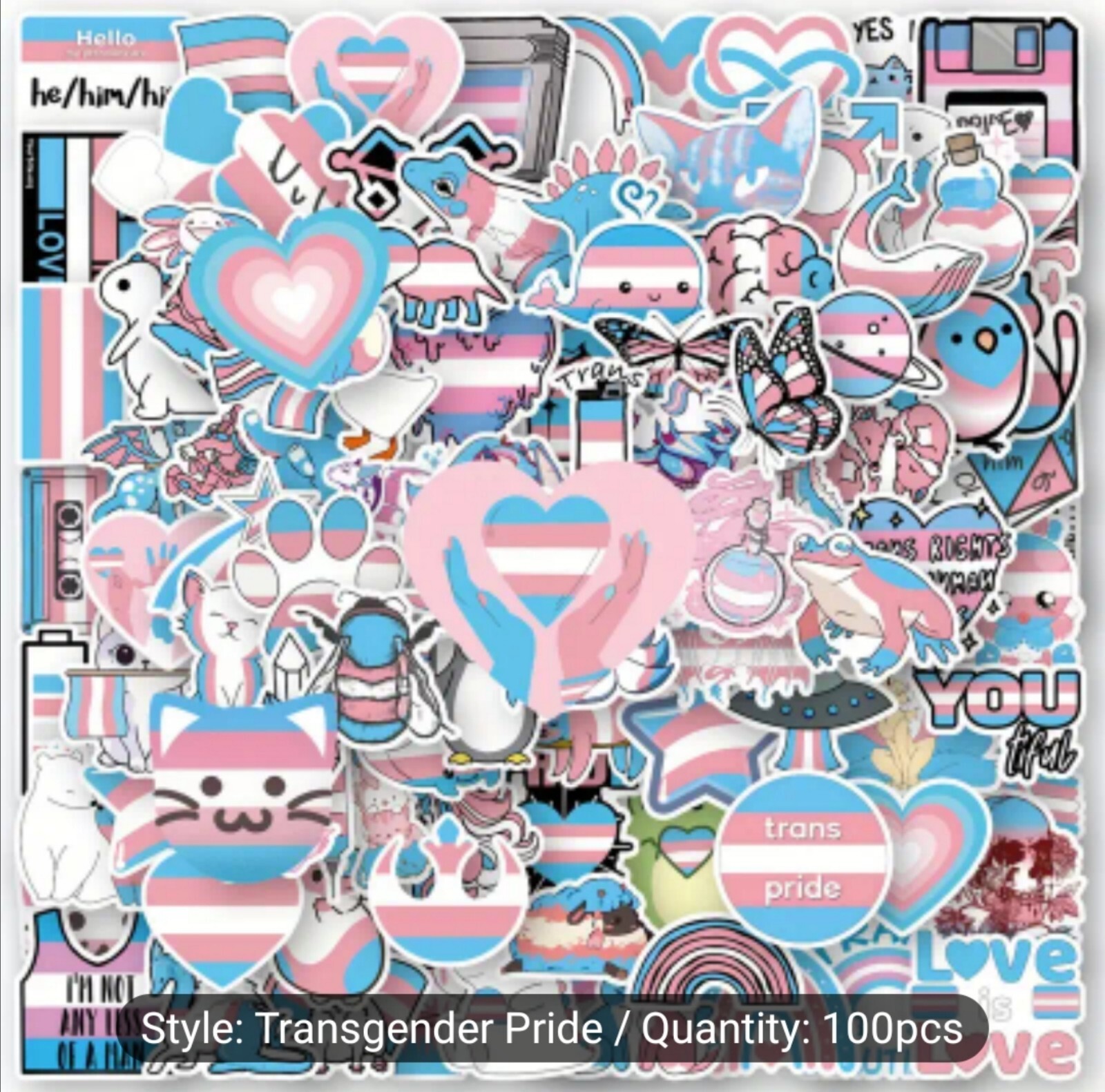 10 PCS Trans Queer Pride Stickers BRAND NEW